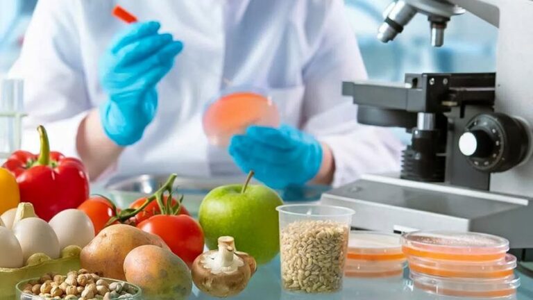 -900-0-1756654522x800-0-4c6bf689884c034fef5e26a44a0a7420-445