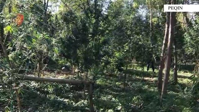 -640-0-900-0-1758178132xscreenshot-10-683-1758178941