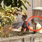 -640-0-sdds-1758527849