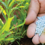 -900-0-1759419889xgetpng-210