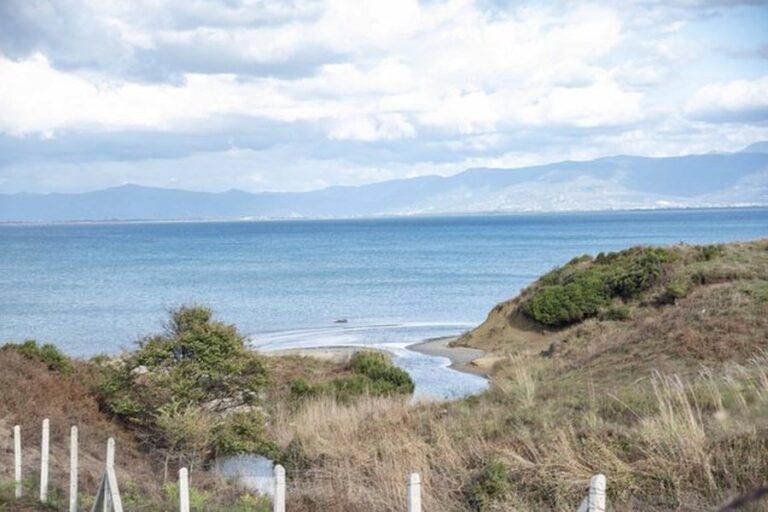 -900-0-1759996983x640-0-ca335b9c1d6f17bdec19eded0a2b9cb2-183