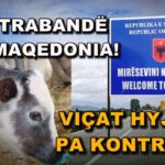 Still1029_00004-1536x864