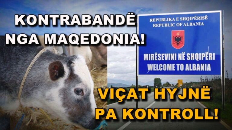 Still1029_00004-1536x864