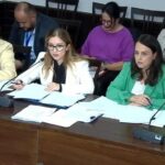 mimoza kaci kepushe amf