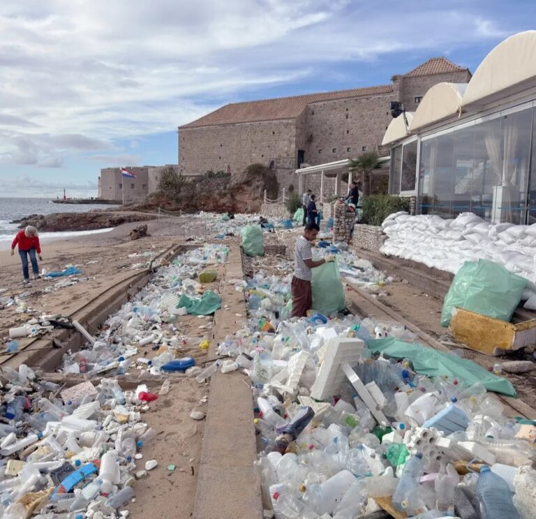 589481778-1373610764132432-4385018156175485311-n-1764453301