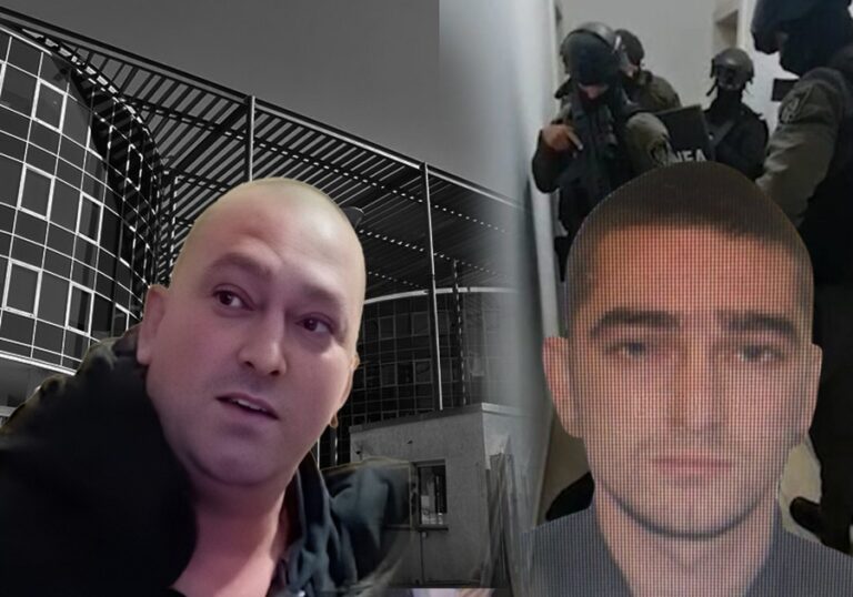 900-0-1760537825xcover-fjona-1-1-662-1763724106