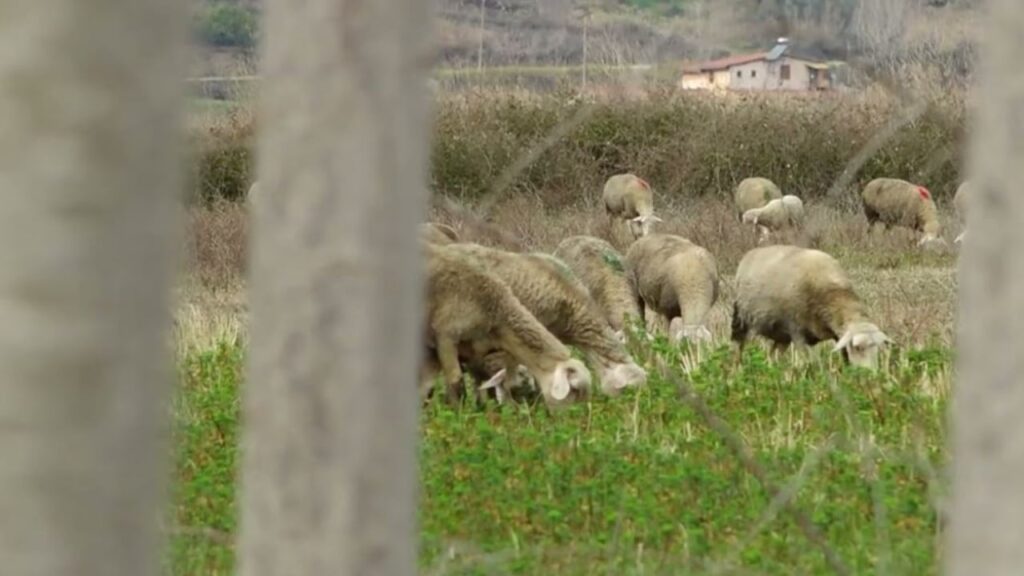 b5a5fd213739cabd7882adeb69abfdcf