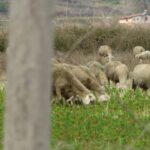 b5a5fd213739cabd7882adeb69abfdcf