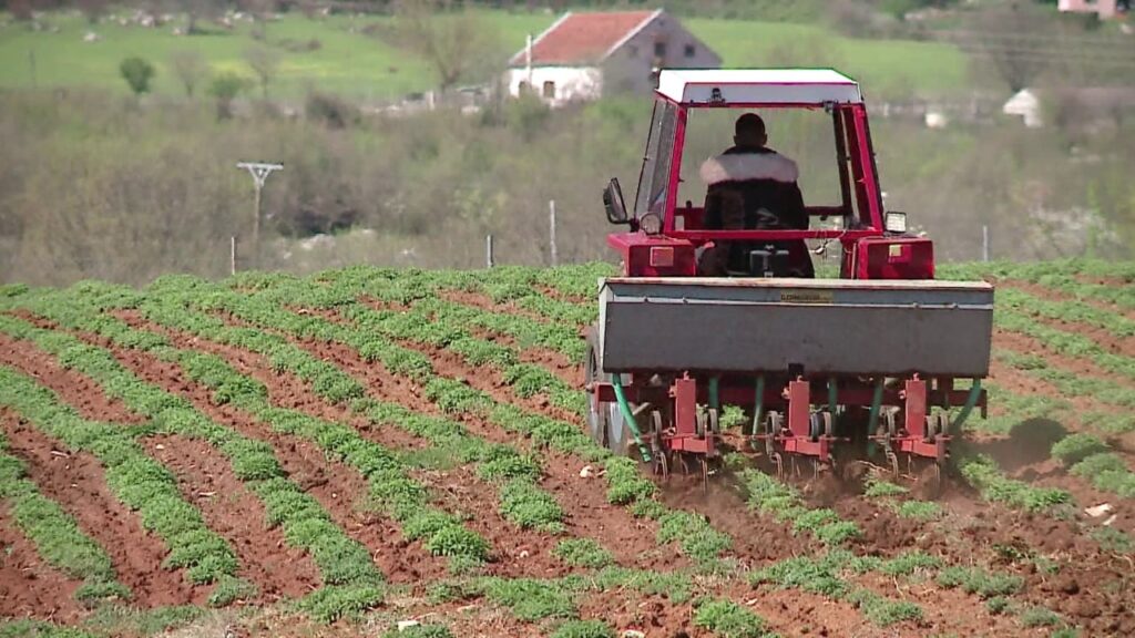 vlcsnap-2025-11-24-19h27m32s456_sd