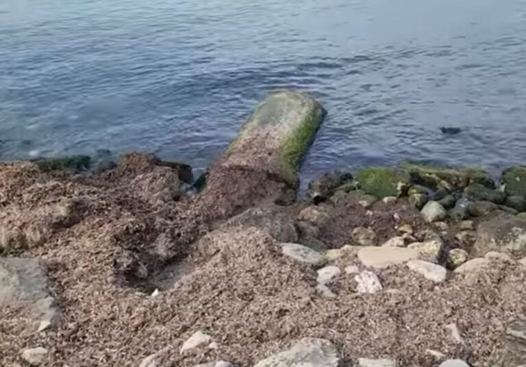 -1000-0-1765286820ximg-20251209-wa0018-831