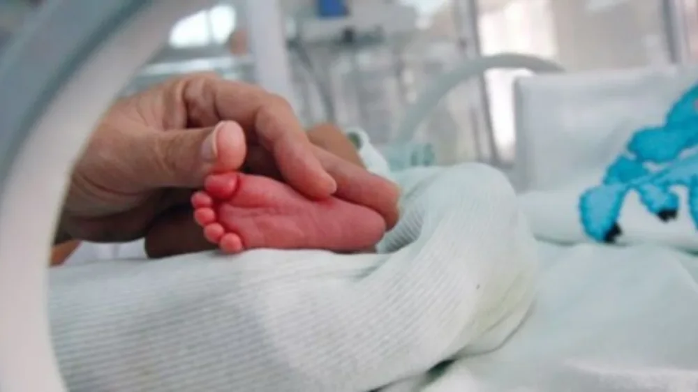 -1000-0-1765610008ximg-7240-428