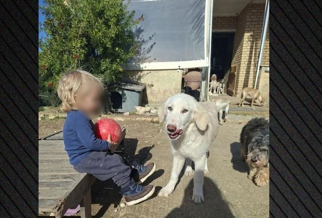 -640-0-f4daa7c83a15f48531b11de2748648c5