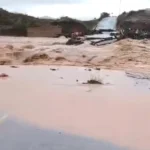 diavasi-ampelias-mak