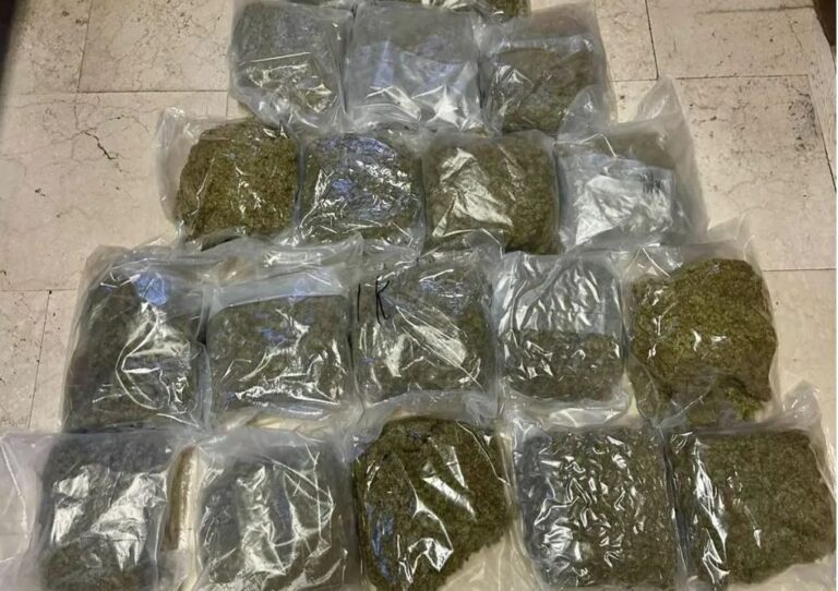 f8e2a337f5195b1f84464e7967892c6b