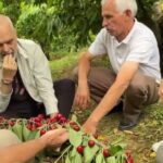 regrg-752x440-1764938030