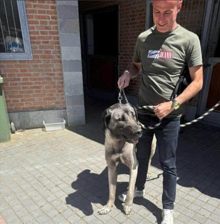 wmremove-transformed-7