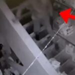 1767876061-vjedhje-1767877575