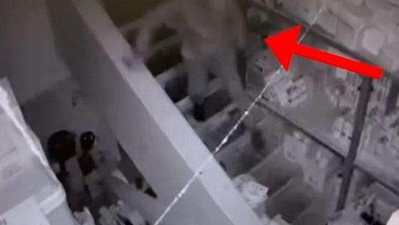 1767876061-vjedhje-1767877575