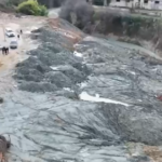 1bef33e87564534d4c6ecd9b1f162372