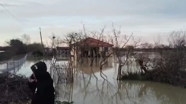 -640-0-1-sd-1768288374