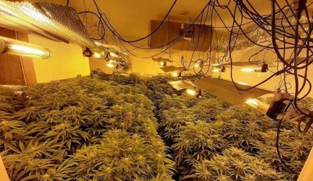 -640-0-900-0-1716112937xcan3-555-1769500671