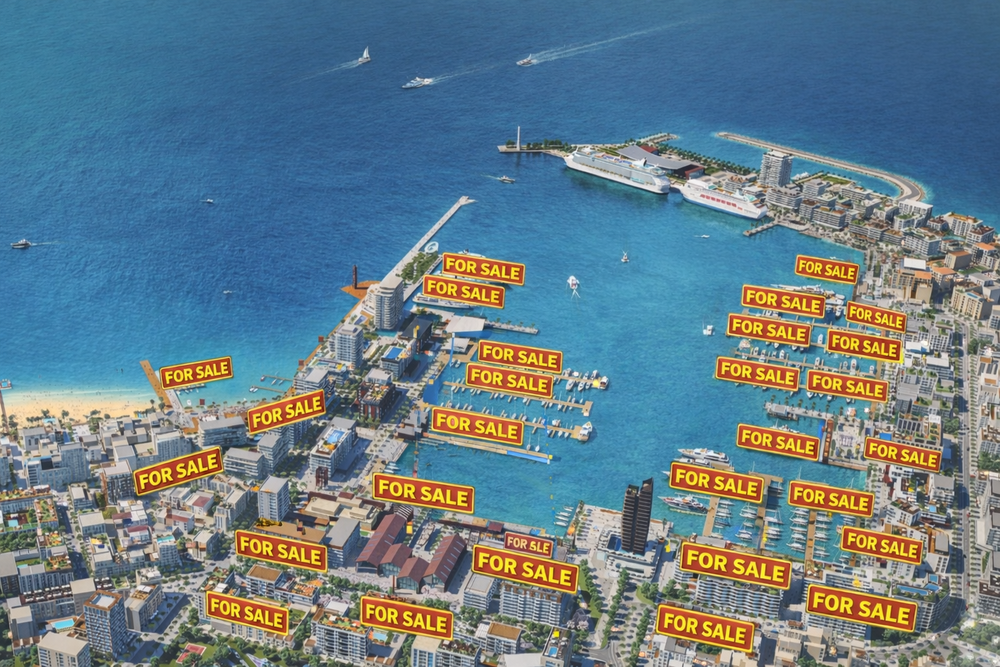 -1000-0-1770970453x4e9f3386-2aa6-4911-be22-e934defad773-582