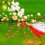 -640-0-1773469931-verore-1773472931