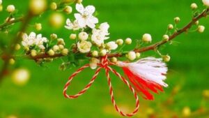 -640-0-1773469931-verore-1773472931