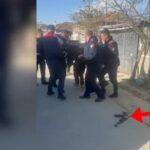 -640-0-c19cff22c4dd35e23f6b844c7a334f29