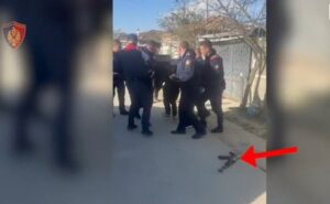 -640-0-c19cff22c4dd35e23f6b844c7a334f29