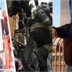 -640-0-mixcollage-18-mar-2026-01-03-am-6925-1773818232