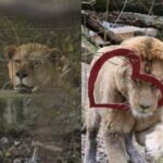 -640-0-rer-1772801845