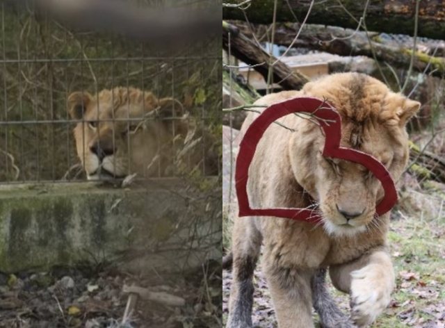 -640-0-rer-1772801845