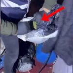 651273686_1266628212330868_4415050781156542523_n