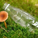 earth-day-mycelium-vs-plastic