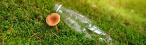 earth-day-mycelium-vs-plastic
