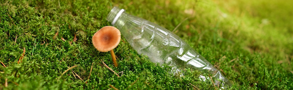 earth-day-mycelium-vs-plastic