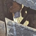 wmremove-transformed-5