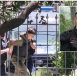 -640-0-azgan-mernica-novruz-cenalia1-1775763738