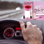 -640-0-shofer-1777037404