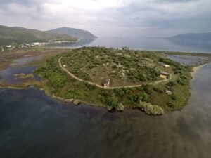 IMG_4477